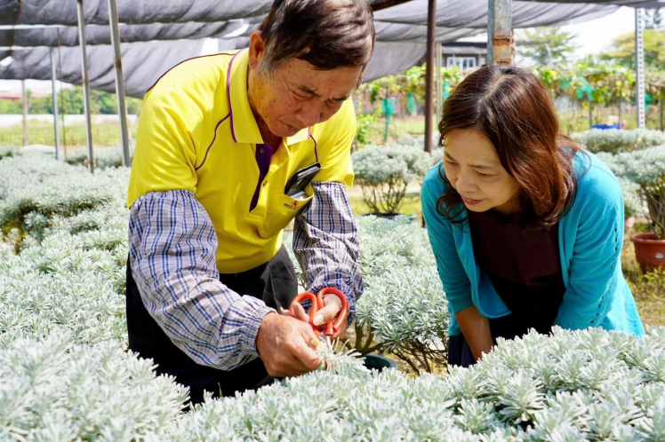 《做工人ㄟ愛.第1集》像芙蓉一樣圓滿--方澄科