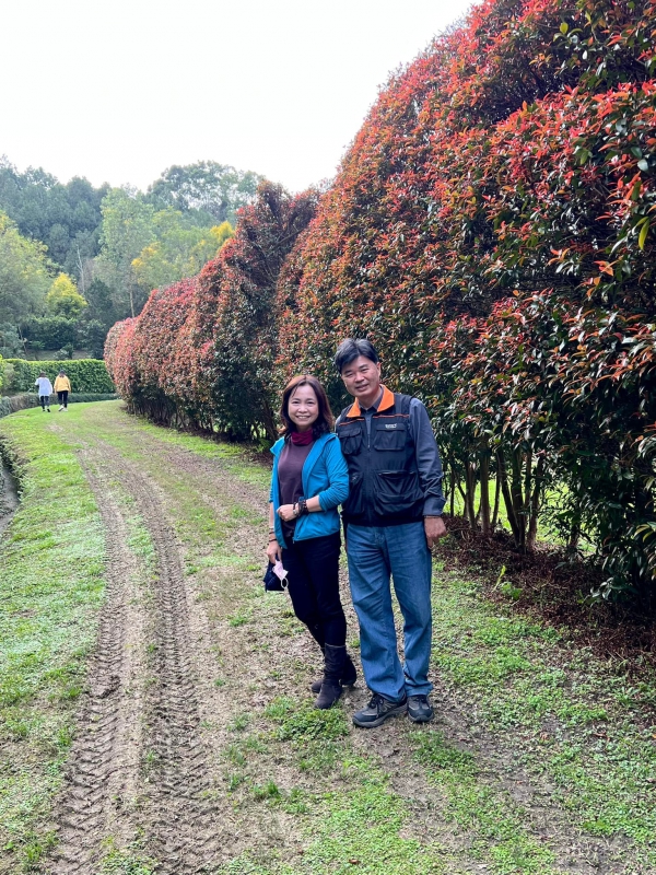 《如露.37》種樹的男人13