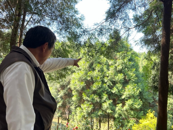 《如露.37》種樹的男人27