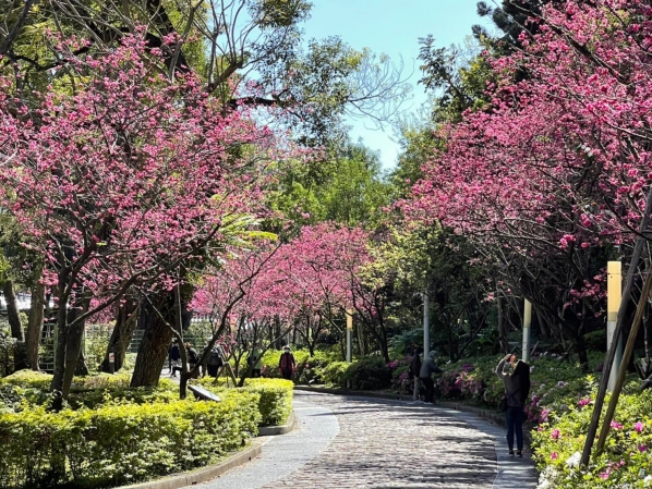 《如露.42》美人的一天03