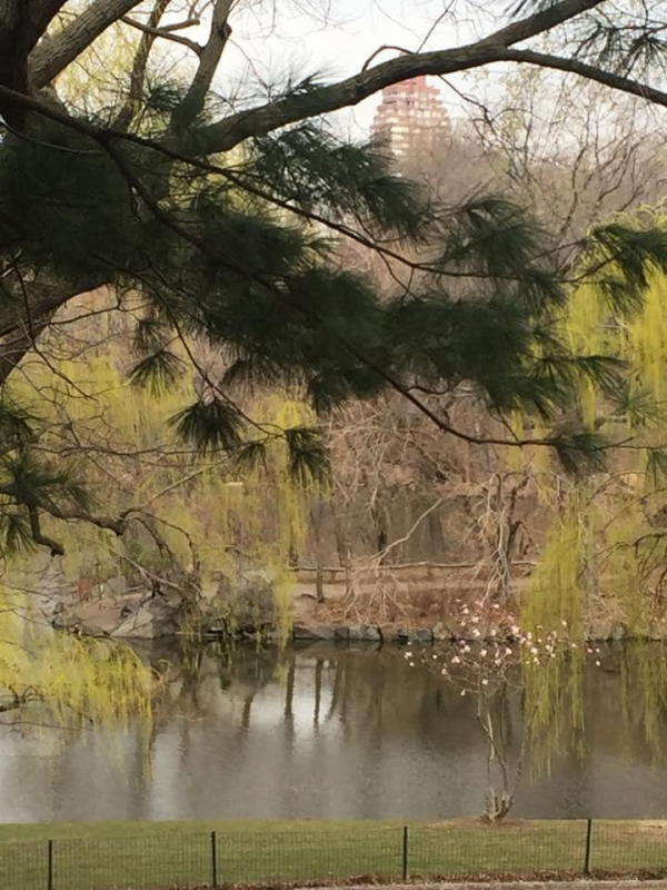 《如露.51》記憶潦草如墨16