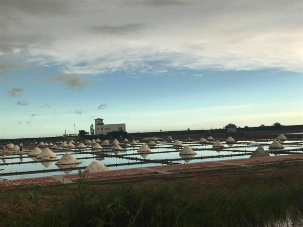 《如露.72》有魚06