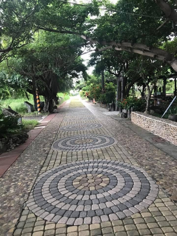 《如露.72》有魚22