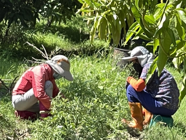 《如露.111》記得,叫上我!04