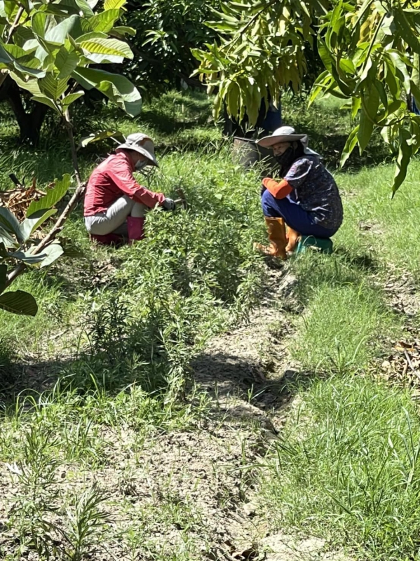 《如露.111》記得,叫上我!06